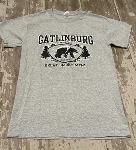 Hanes Gatlinburg Tennessee Great Smoky Mountains Gray Short Sleeve T-shirt Small - Picture 1 of 4