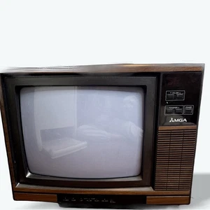Mitsubishi Vintage Television CS-1345R 13" Retro Gaming CRT Nostalgic Gamercore - Picture 1 of 4