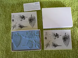 Nuevo Cardmaking Nuevo en caja Dream Impressions 6 piezas. Juego de estampillas de goma - muchas hojas - Imagen 1 de 4