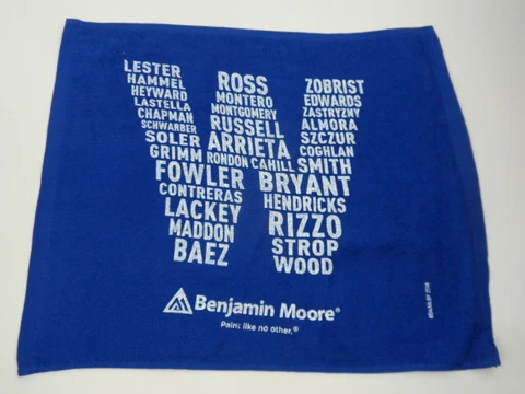 NEW 2016 WORLD SERIES RALLY TOWEL CHICAGO CUBS 15" x 18" (ghts, loc EE11) Cover