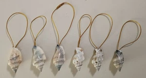 REAL NATURAL CONCH SHELL 6 ORNAMENT LOT FOR CHRISTMAS TREE, SEASHELL AND HANGAR - Picture 1 of 3
