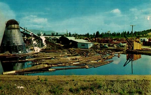 Saw Mill in Southern Oregon - 1951 Postcard - Picture 1 of 4