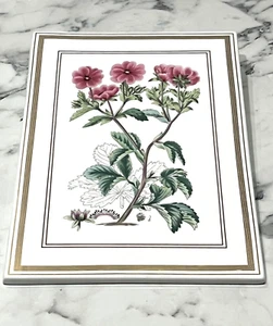 Royal Worcester Fine Bone Botanical Studies Potentilla Wandplakette 1983 EG - Bild 1 von 8