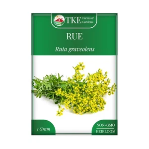 TKE Farms & Gardens - Rue Seeds for Planting, 1 Gram, 500 Heirlooom Seeds, No... - Picture 1 of 8