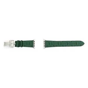 Hermes Apple Watch Pasek Single Tour Kilim Zielony Srebrny Okucia 46mm - Zdjęcie 1 z 8
