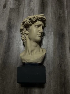 Escultura de David de colección de Miguel Ángel cabeza de busto estatua de arte de resina esculpida griega - Imagen 1 de 9