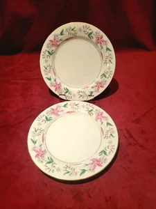 Noritake China "Constance" #5213.   Set Of 2 Salad Plates - Picture 1 of 5