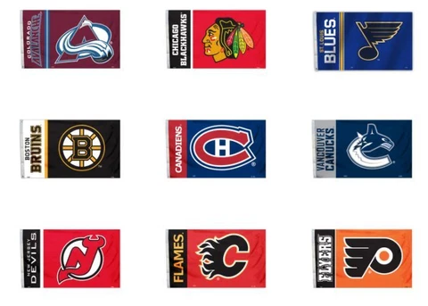 NHL 3' x 5' Team All Pro Logo Flag By Fremont Die Select Team Below Cover