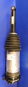 Genuine Tesla 1067461-25-C Model S Air Suspension Shock Strut Rear Left 2016-21 - Picture 1 of 7