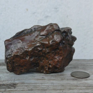 Ventifacto de piedra natural Gobi para bonsai Suiseki pj467 - Imagen 1 de 6