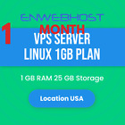 VPS Server Linux 1GB RAM 25 GB Storage Location US - 1 Month