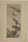 Matsu No Koi,Okyo Maruyama,Photo Of Ukiyo-E,Japan,Fish,Pines,1890-1910