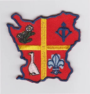 SCOUTS OF SWEDEN / SWEDISH - SVERIGE SSF SCOUT & GUIDES SODRA REGION PATCH - Bild 1 von 2