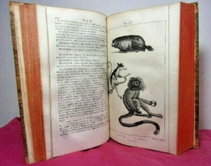 Histoire Naturelle par une Société de Naturalistes. M. Gravures. An XI. - Picture 1 of 11