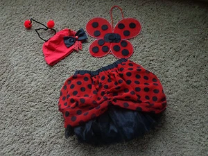 LADYBUG red/black outfit EUC dress up educational fun w/skirt, wings, & hat - Picture 1 of 4