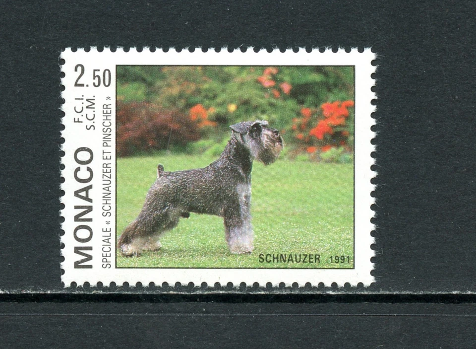 Schnauzer N007 Monaco 1991 exposición canina 1v.       MNH Foto 1 de 1