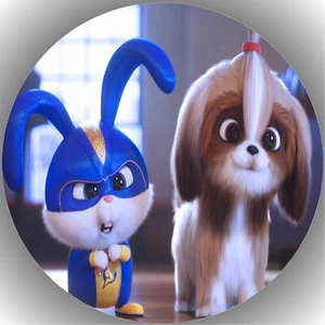 Colocador de tartas cumpleaños fiesta imagen de tartas fondant - Oblate Pets P14 - Imagen 1 de 1