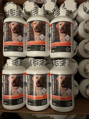 COSEQUIN DS Exp. 06/2025~ Nutramax Cosequin Max Joint Health Supplement Plus MSM & HA, 180ct