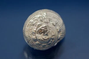 1 x Schnecke Zwischenteil 999-er Silber Silberteil Ketten-Zwischenteil 1741-1E - Bild 1 von 1