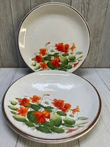 Platos de ensalada Ranmaru Asian Song de colección ceramate gres 3930 JAPÓN - Juego de 2 - Imagen 1 de 9