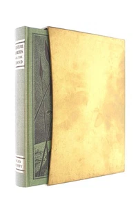 Adventure Stories from the Strand by Geraldine Beare (ed) - Imagen 1 de 1