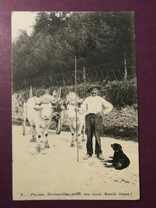 CPA 58 (nièvre) Paysan Morvandiau aitou sas deux Boeufs bians - Imagen 1 de 2