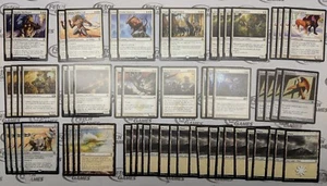 Mazo de 60 cartas - EQUIPO GATO LIFEGAIN - Moderno - Listo para Jugar - Magic MTG FTG - Imagen 1 de 1