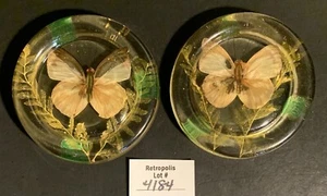 2 Posavasos de Lucita o Resina MCM Mariposas Vintage Gamut Designs Años 70 - Imagen 1 de 13