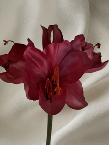 Künstlicher Amaryllisstamm. seidenblumen blumengestecke. - Bild 1 von 4