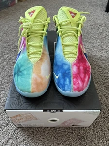 Nike LeBron XXII 22 WTM What The Monopoly Tie Dye Moneda HV8080-300 Talla 10 - Imagen 1 de 6