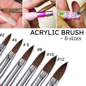 Acrylic Nail Brush Kolinsky Sable Hair 6 Sizes Monomer Powder #2 #4 6 #8 #10 #12 - Picture 1 of 12