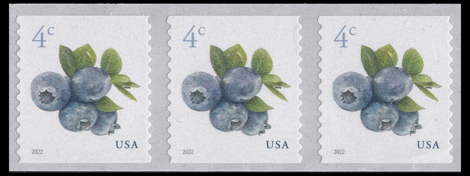 US 5653 Blueberries 4c coil strip 3 MNH 2022 - Image 1 of 1