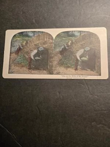 C1890s 1900s DIS AM THE PICK OF DAT PATCH STEREOVIEW GRIFFITH & GRIFFITH CARD - Picture 1 of 4