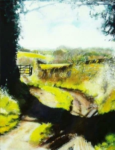 SUPERBO DIPINTO ARWYN QUICK ORIGINALE "Barlow Bridleway" PEAK DISTRICT - Foto 1 di 1