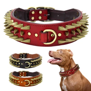 Spiked Dog Collar Large Dog Heavy Duty Training Leather Collar for Pitbull Boxer - Picture 1 of 19