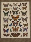 Emek Butterfly Sticker Sheet