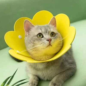 Sunflower Pet Collar - Cat Elizabethan Recovery Collar, Pet Anti-Licking Collar - Picture 1 of 9