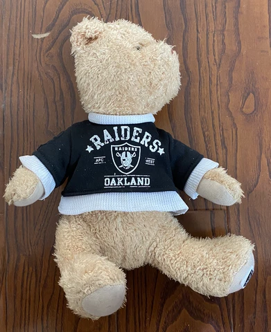 Oakland Raiders Plush Bear  (NFL, Good Stuff) Debate Adams Carr Cover