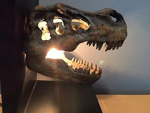 Luz fósil dinosaurio - Imagen 1 de 5