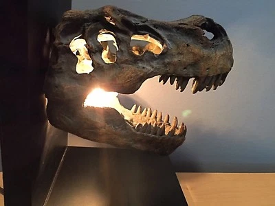 Dinosaur fossil light - Image 1 of 4