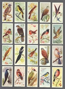 CIGARETTE CARDS.Carreras Tobacco.BIRDS OF THE COUNTRYSIDE.(Full Set of 50)(1939) - Picture 1 of 1