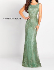 Cameron Blake 119644 Mother of the Bride Evening Dress Sage Sz. 16 (SAMPLE)