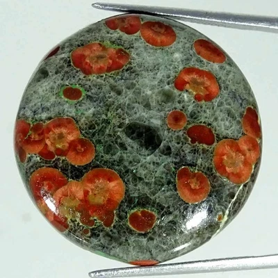 28.00Cts Natural Mexican Peanut Obsidian Round Cabochon Loose Gemstone 27x5mm Foto 1 de 4