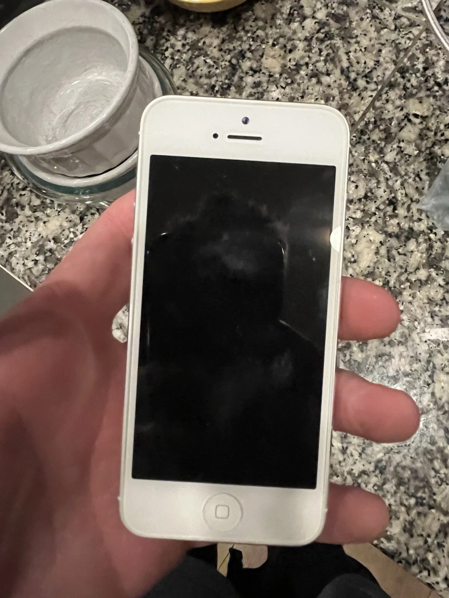 iPhone 5 Silver 16GB for Sale - eBay