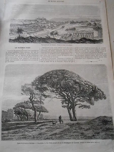 Gravure 1869 - Les Stations d'hiver Vue de Cannes Les Pins Parasols - Imagen 1 de 1