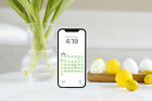 2024 Niedliche Koreanische Kalender Handy Tapete, iPhone Tapete Samsung
