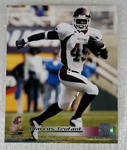 Foto Marcus Trufant Washington State Cougars 8"x10" offiziell lizenziert NCAA - Bild 1 von 6