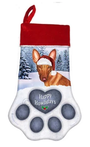 Weihnachtsstrumpf - Pharaoh Hound - Bild 1 von 1