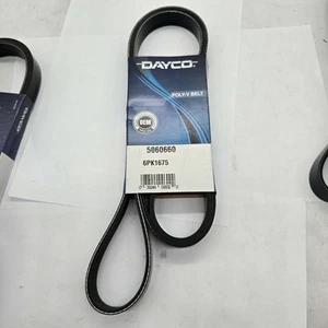 Cinturón Serpentine Poly-V Dayco 5060660 6PK1675 - Imagen 1 de 1