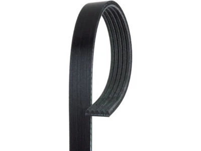 Cinturón multi costilla para Daewoo Lanos 1999-2002 AC Delco 79385XZSS Foto 1 de 2